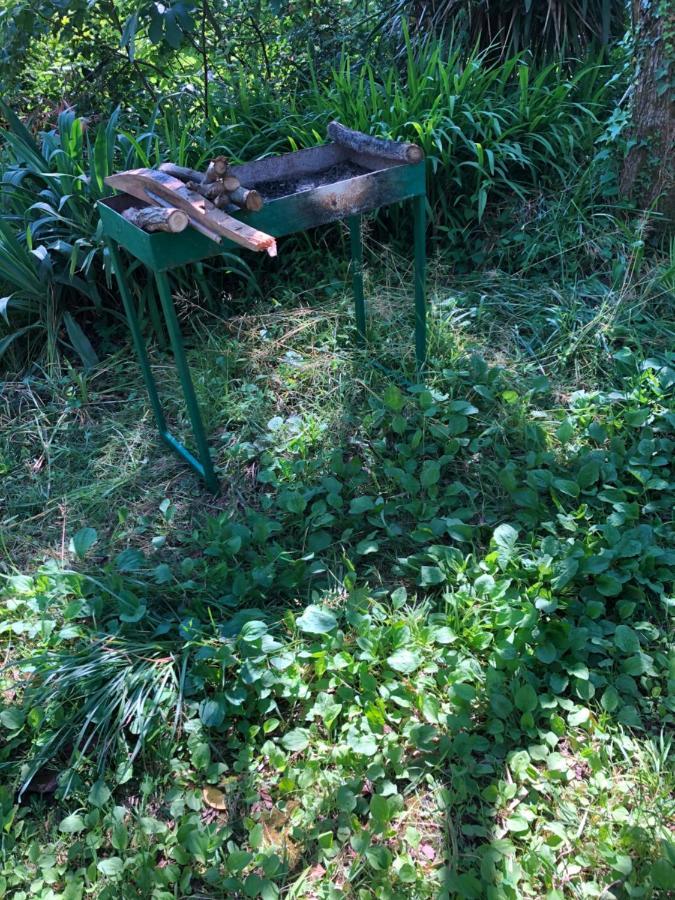 Hostel Eco Chakvi Luaran gambar