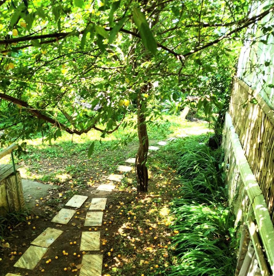 Hostel Eco Chakvi Luaran gambar